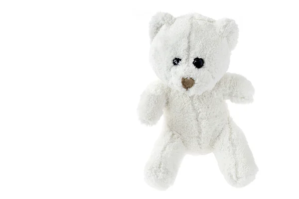 Ursinho pedrado Teddy em fundo neutro — Fotografia de Stock