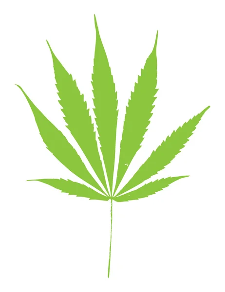 Yeşil marihuana yaprağı — Stok Vektör