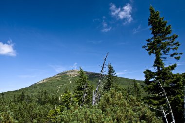 Panorama krkonose MTS Milli Parkı-Çek Cumhuriyeti