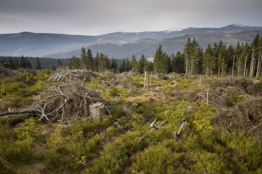 Panorama krkonose MTS Milli Parkı-Çek Cumhuriyeti