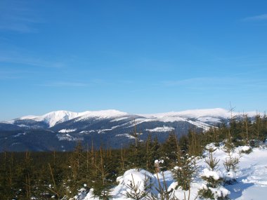 Kış Panoraması krkonose mountains, Çek Cumhuriyeti