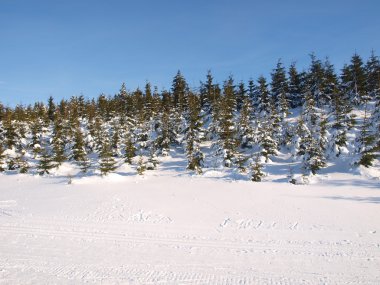 Kış Panoraması krkonose mountains, Çek Cumhuriyeti