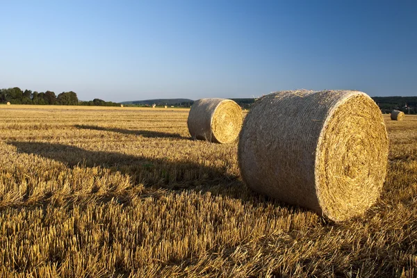 Stock image Harvested Roll of Straw