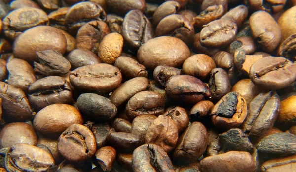Cooffee texture — Stock Photo, Image
