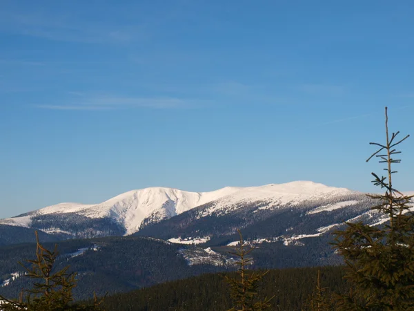 Winter panorama of Krkonose mountains, Czech Republic — Stock Photo, Image