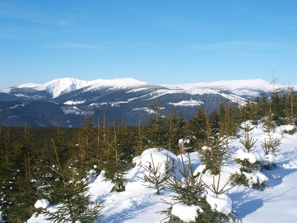 冬天的 Krkonose 山，捷克共和国的全景 — 图库照片