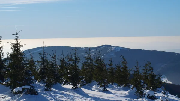 Зимняя панорама Крконосских гор, Чехия — стоковое фото