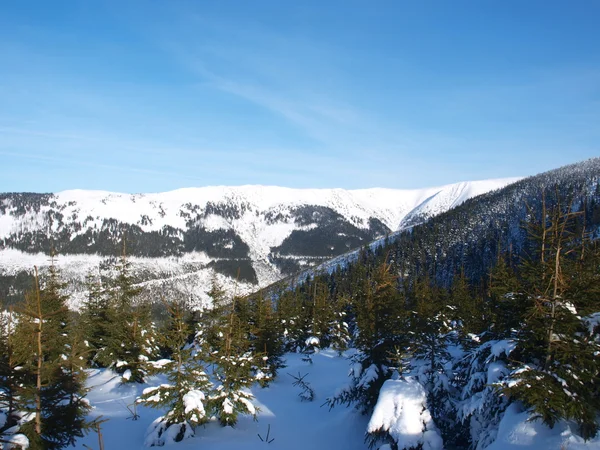 Winter panorama van krkonose bergen, Tsjechië — Stockfoto