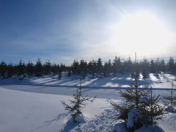 冬天的 Krkonose 山，捷克共和国的全景 — 图库照片