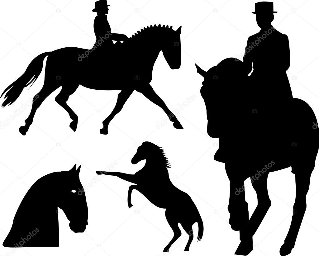 Horse silhouette on white background