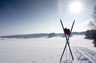 Cross country ski trail with ski clipart