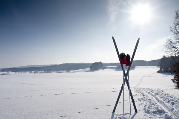 Πολλαπλής χώρα σκι μονοπάτι με σκι — Φωτογραφία Αρχείου
