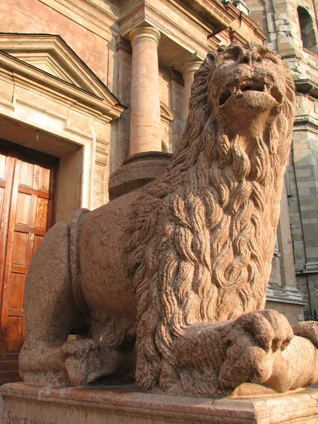 Guard lion — стоковое фото
