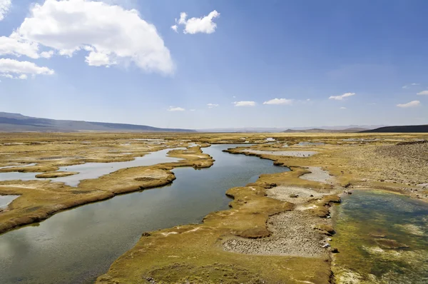 Andok alpesi Tundra Peruban — Stock Fotó