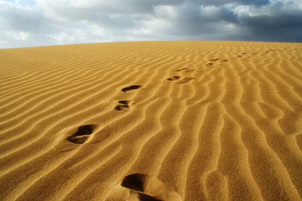 stock image Footprints