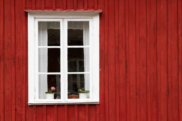 stock image Window