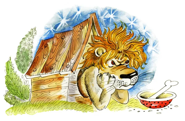 Lion i doghouse — Stockfoto