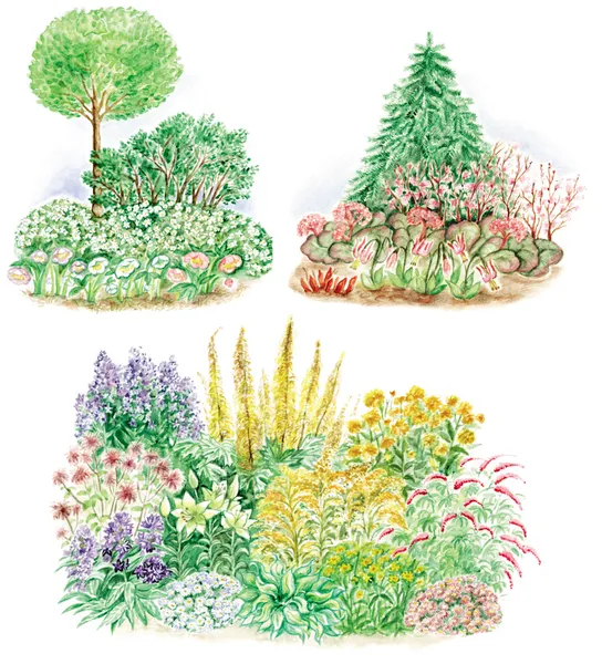 Trädgård design av blomsterrabatter — Stockfoto