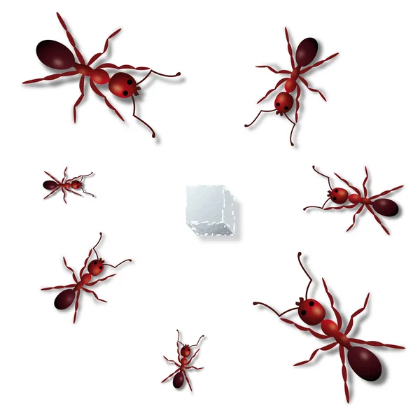 stock vector Ants and sugar