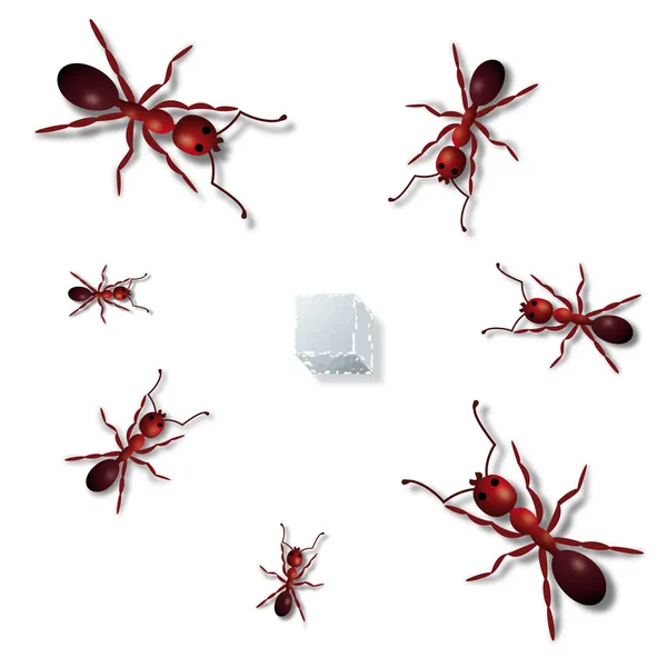 Formigas e açúcar Ilustração De Bancos De Imagens