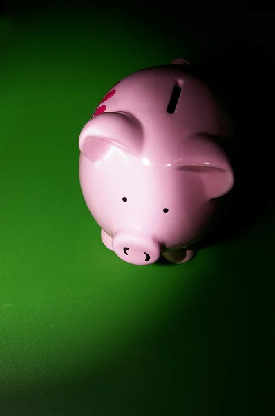 Piggy op groen — Stockfoto