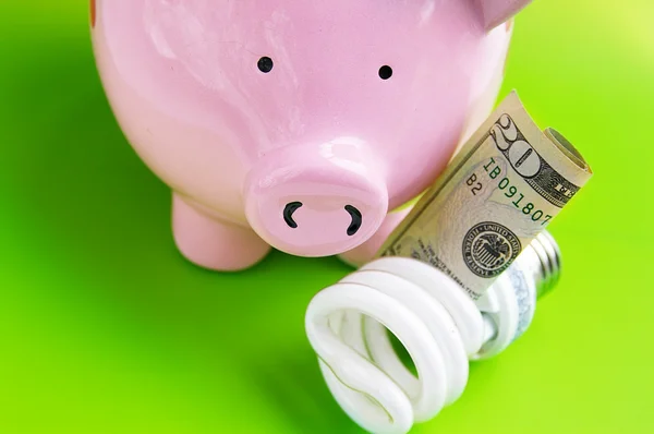 Piggy bank, met efficiënte lamp en contant geld — Stockfoto