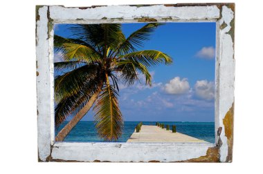 Tropical paradise clipart