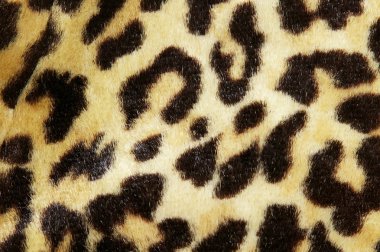 Leopard print clipart