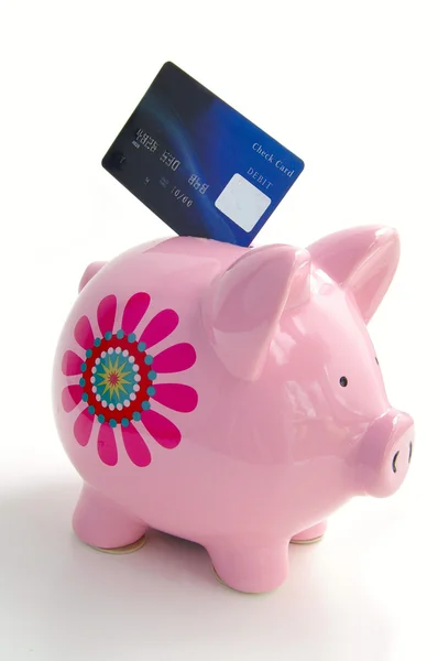 Piggy banco em branco com um crédito — Fotografia de Stock