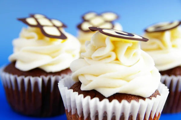 stock image Fancy chocolate gourmet cupcakes, closeup