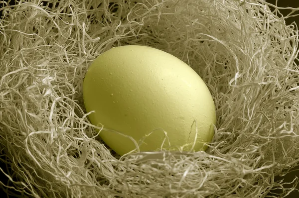 Uovo nido — Foto Stock