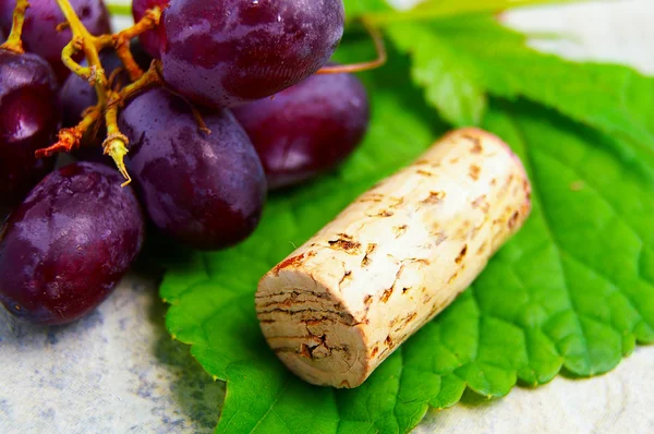 Cortiça de vinho — Fotografia de Stock