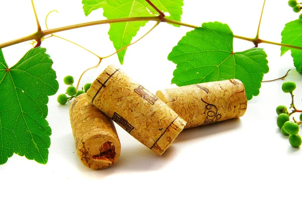 Wine corks and grape vine — Stock Photo, Image