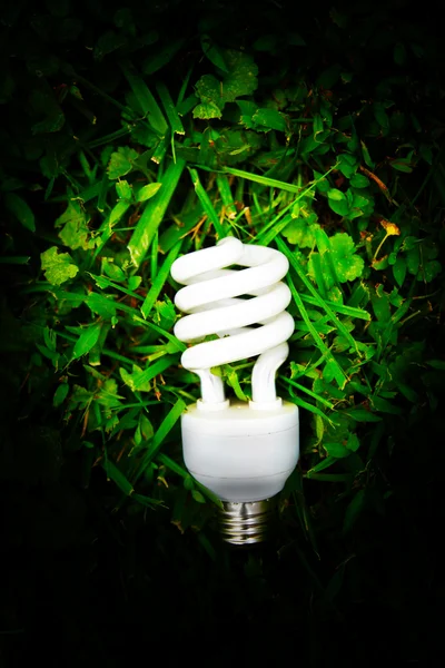 Light bulb in green grass — Stock Photo, Image