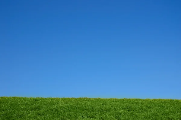 녹색 잔디 언덕 — 스톡 사진