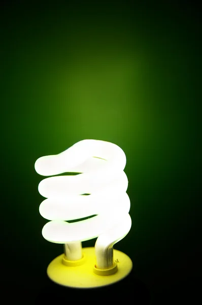 Glühbirne auf grün — Stockfoto