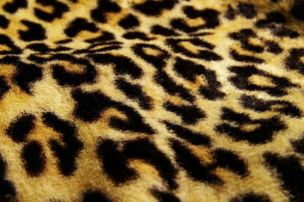 Leopard візерунком — стокове фото