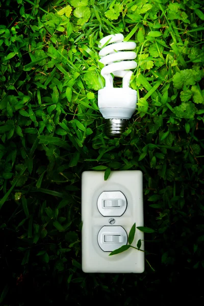 Energia verde — Fotografia de Stock