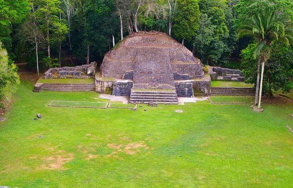 Храму майя — стокове фото