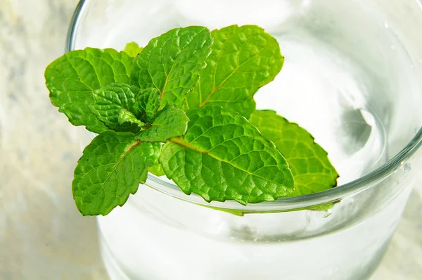 Iced water with fresh mint — Stock Photo, Image
