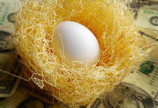 stock image Egg in nest with money