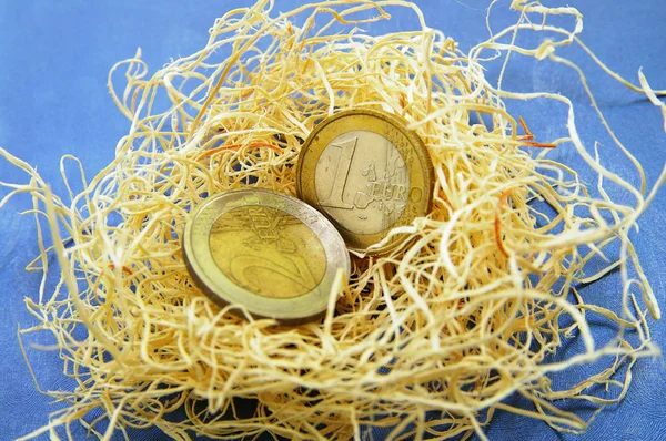 Moedas de euro em um ninho — Fotografia de Stock