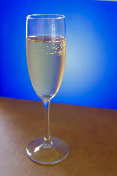 Bicchiere Champagne su sfondo blu e bianco — Foto Stock