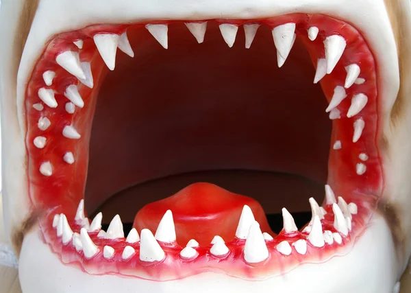 stock image Shark mouth