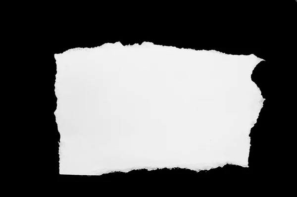 Gaura alba — Fotografie, imagine de stoc