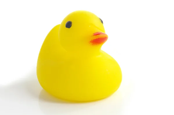 Rubber ducky — Stock Photo, Image