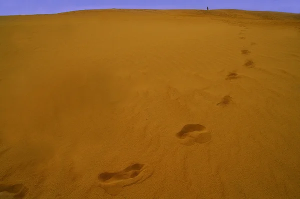 Footprints in the sand going into the distant horizon — Stock Photo, Image