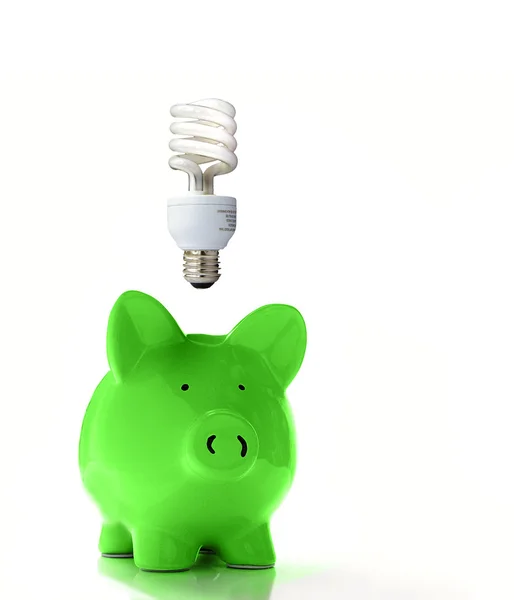 Banco porquinho com uma lâmpada — Fotografia de Stock
