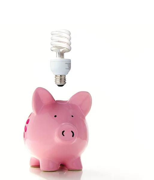 Banco porquinho com uma lâmpada — Fotografia de Stock