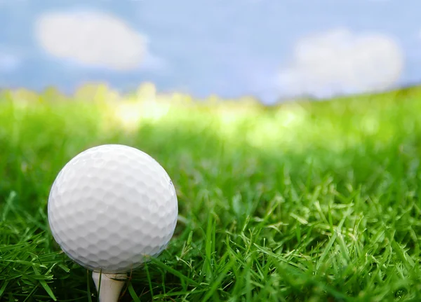 Bola de golfe close-up — Fotografia de Stock